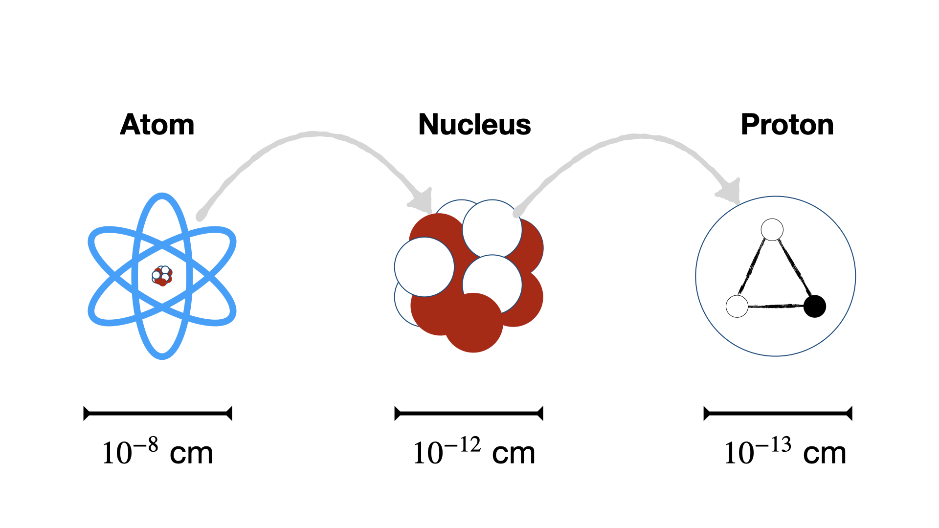 Nucleus Size