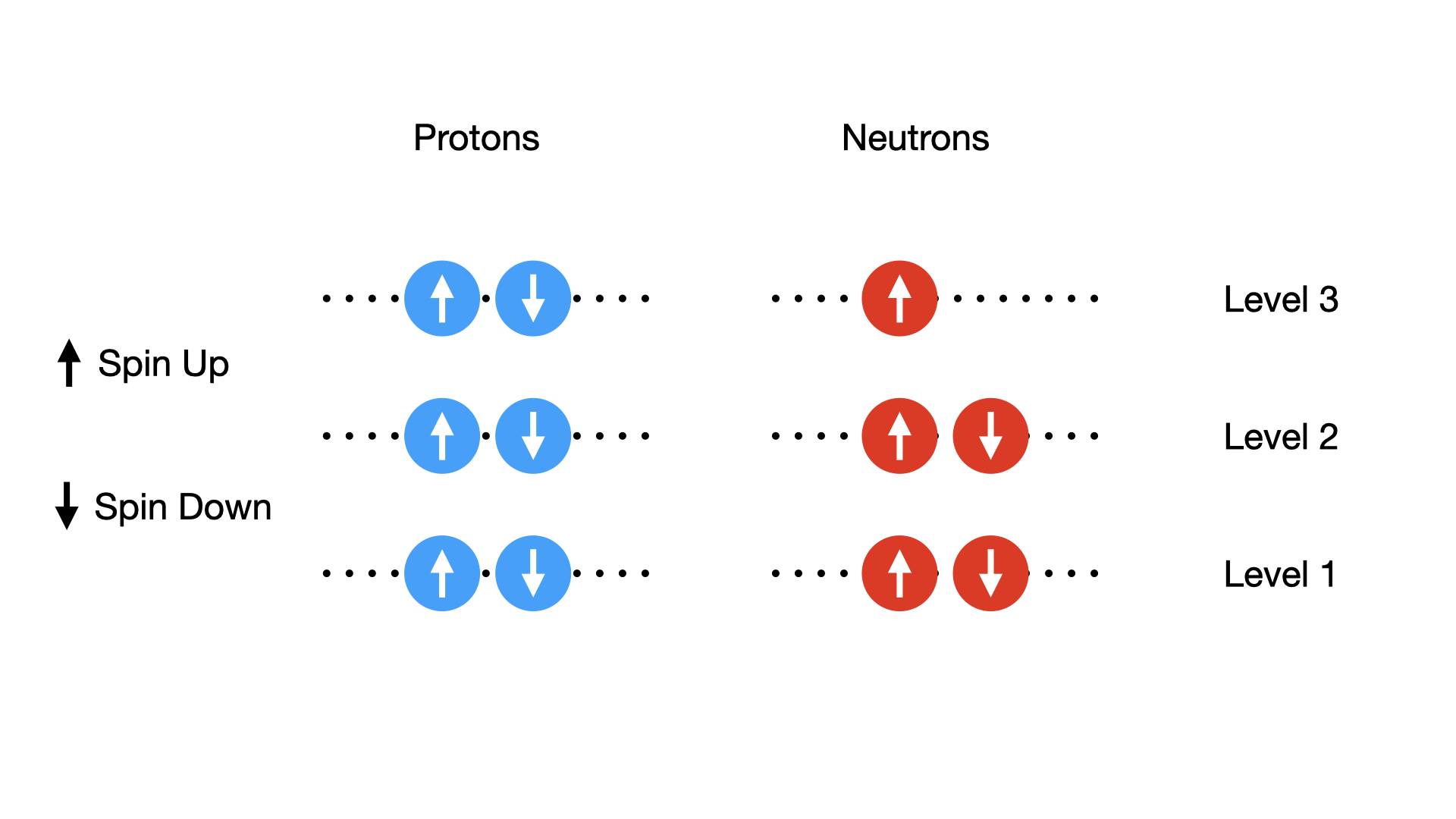 Nucleon pairing diagram showing protons and neutron spin alignment.